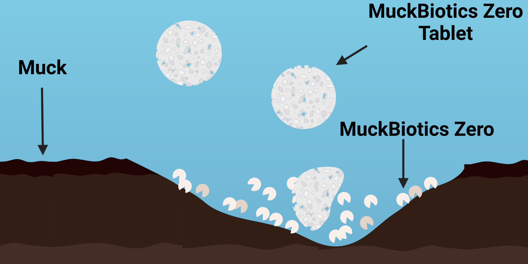 Naturallake MuckBiotics Zero - Cold Water Probiotic Tablets for Muck Digestion (34 - 60°F) - Smith Creek Fish Farm