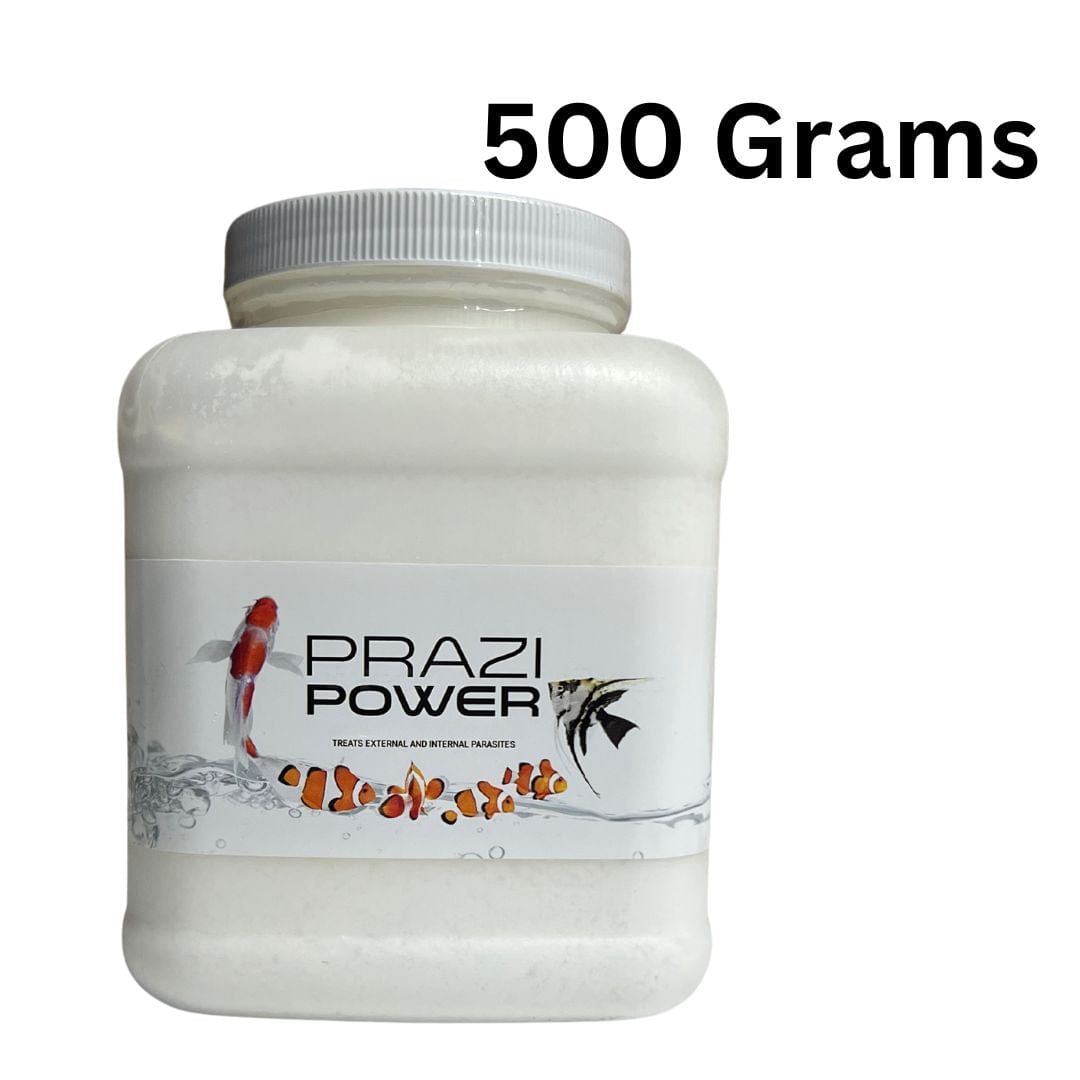 Prazi Power - Professional Fluke & Worm Treatment for Koi and Pond Fish - Smith Creek Fish Farm