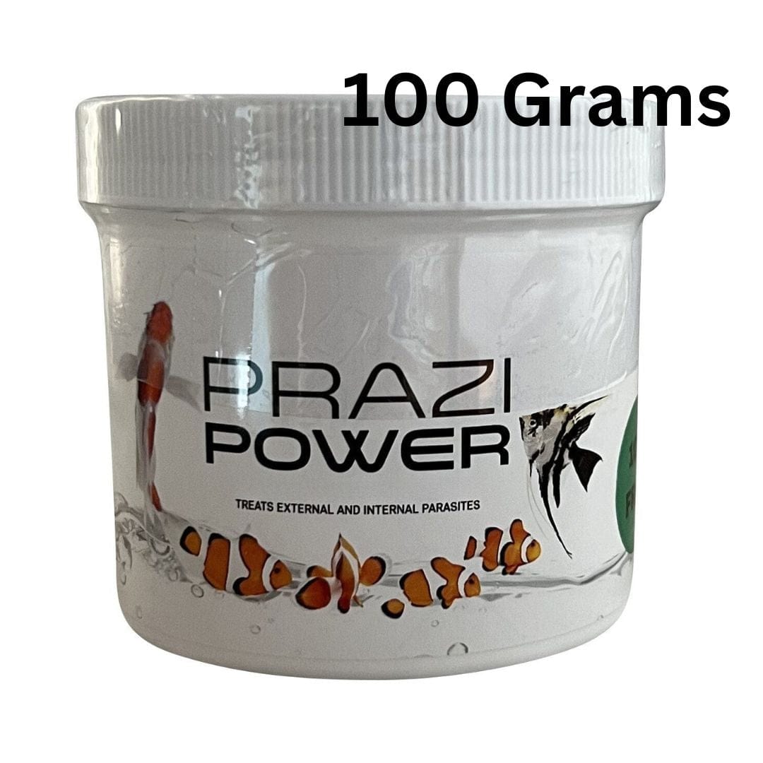 Prazi Power - Professional Fluke & Worm Treatment for Koi and Pond Fish - Smith Creek Fish Farm