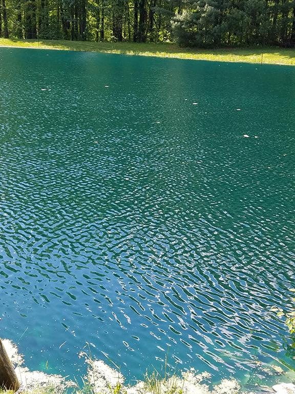 Sanco Pond Dye Ocean Blue Pond Dye-Gallon Sanco Ocean-Blue Pond Dye | Turquoise Lake and Pond Dye  | 1 Gallon