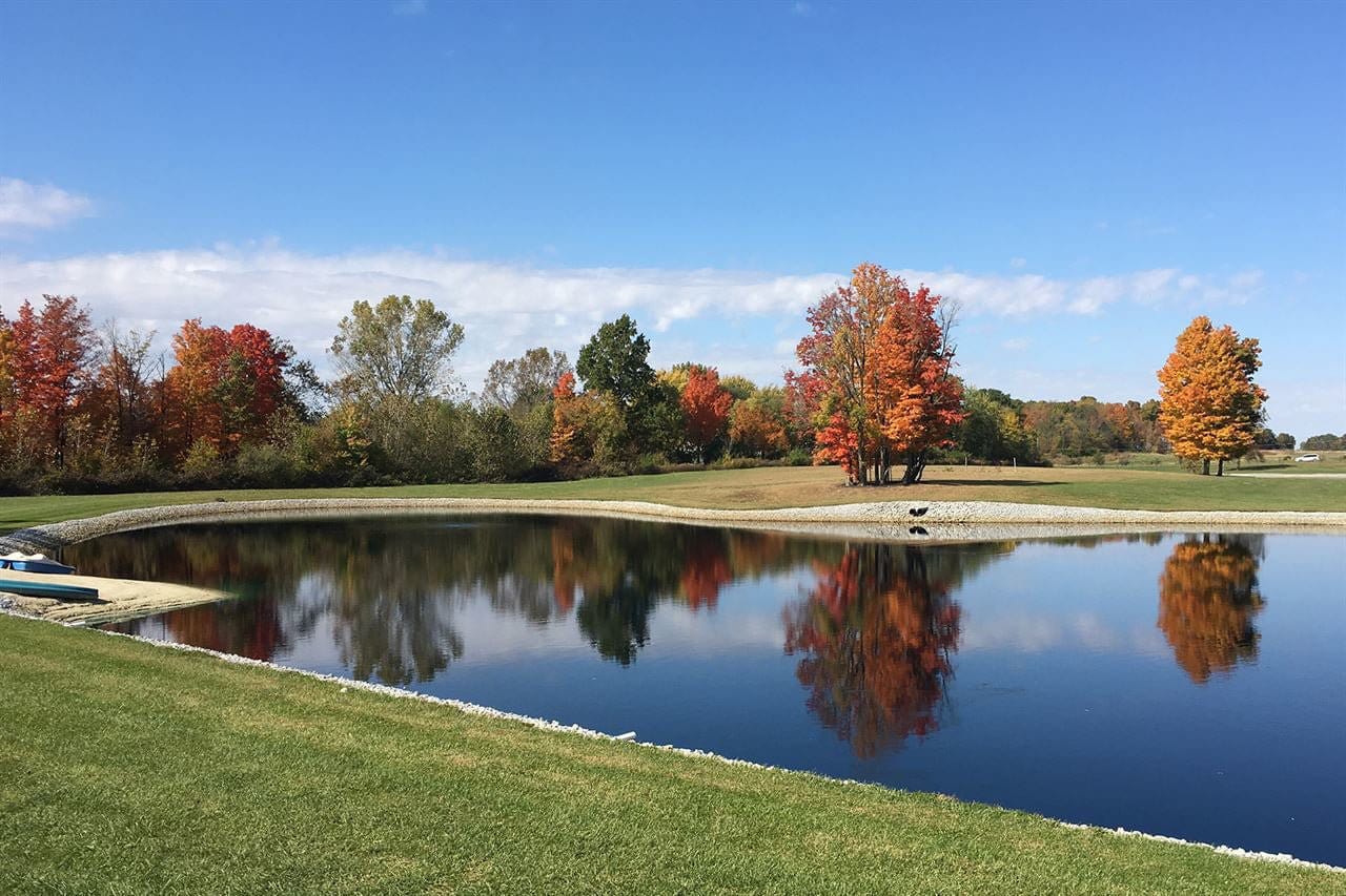 Sapphire Blue Pond Dye - Gallon - Smith Creek Fish Farm