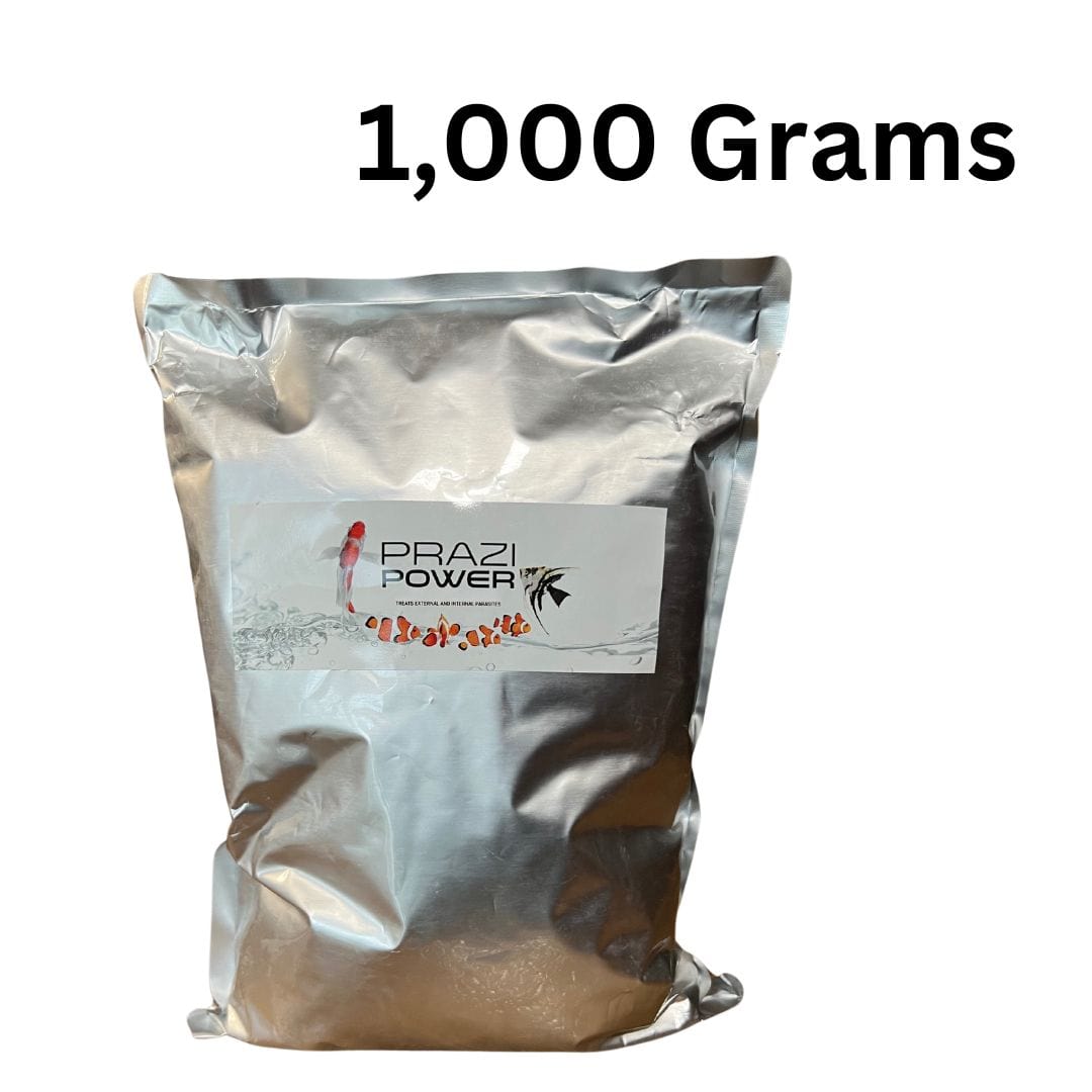 Smith Creek Lake & Pond fish health 1000 Gram Bulk Prazi-Power Powder For Fish Prazi-Power Powder for Fish | Fluke Treatment | Koi Parasites
