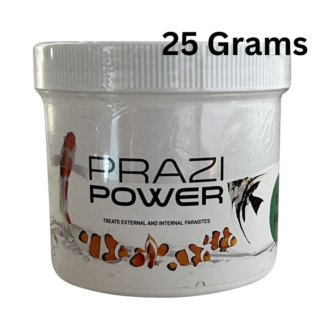 Smith Creek Lake & Pond fish health 25 Gram Prazi-Power Powder For Fish Prazi-Power Powder for Fish | Fluke Treatment | Koi Parasites