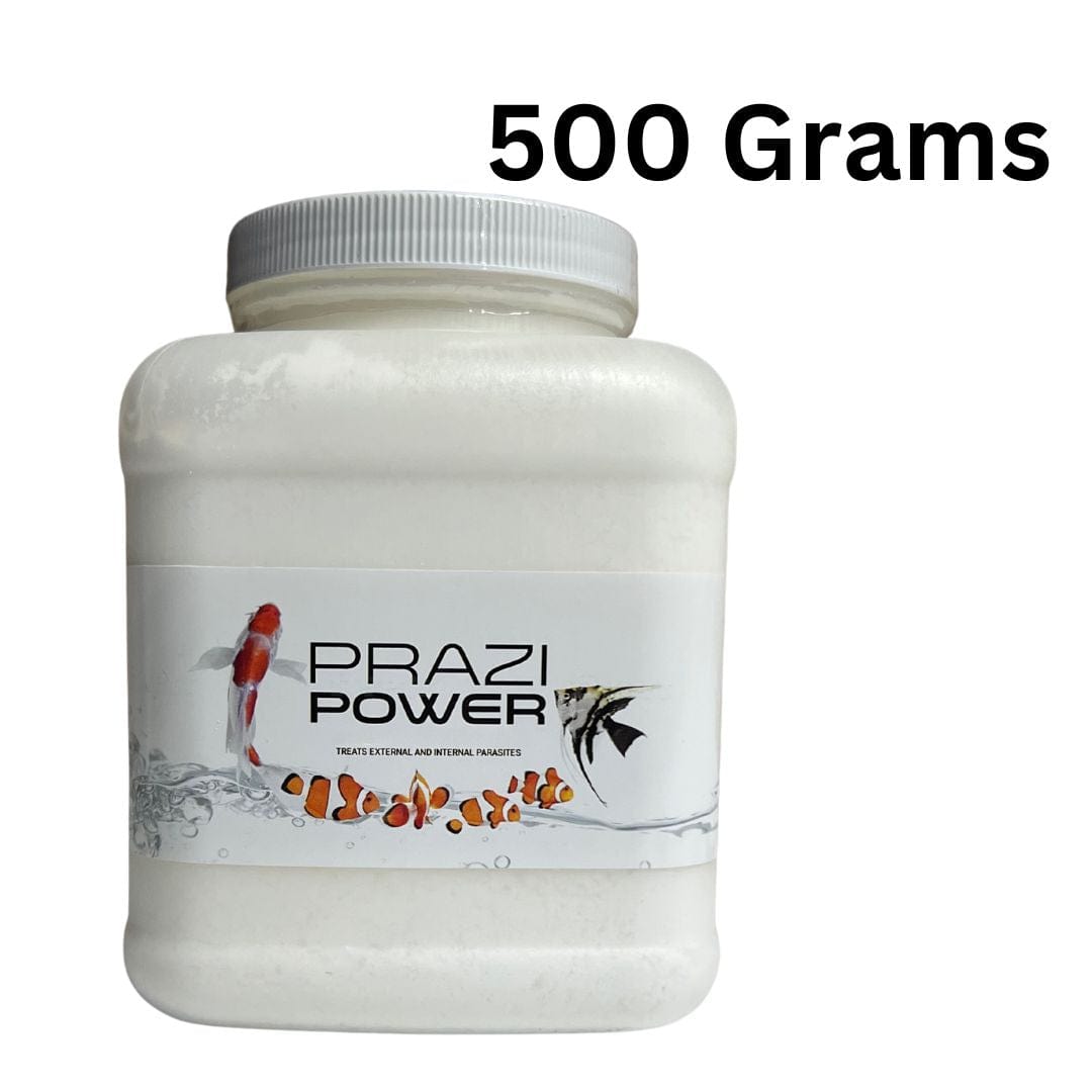 Smith Creek Lake & Pond fish health 500 Gram Prazi-Power Powder For Fish Prazi-Power Powder for Fish | Fluke Treatment | Koi Parasites