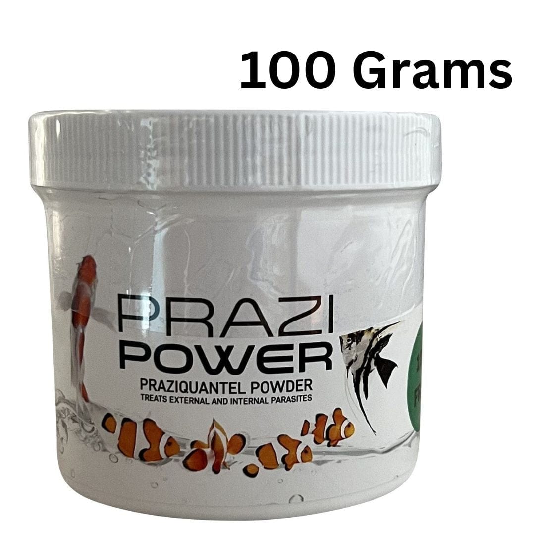 Smith Creek Lake & Pond fish medication 100 Gram Prazi-Power Praziquantel Powder Prazi-Power Praziquantel Powder for Fish | Fluke Treatment