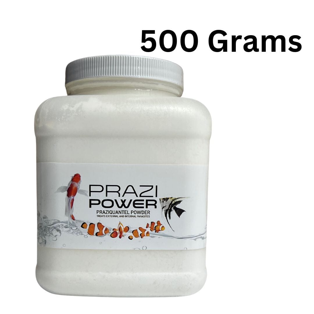 Smith Creek Lake & Pond fish medication 500 Gram Prazi-Power Praziquantel Powder Prazi-Power Praziquantel Powder for Fish | Fluke Treatment