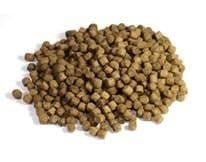Zeigler Silver Game Fish Food - Floating or Slow Sink Pellets (10 lb or 44 lb Bags) - Smith Creek Fish Farm